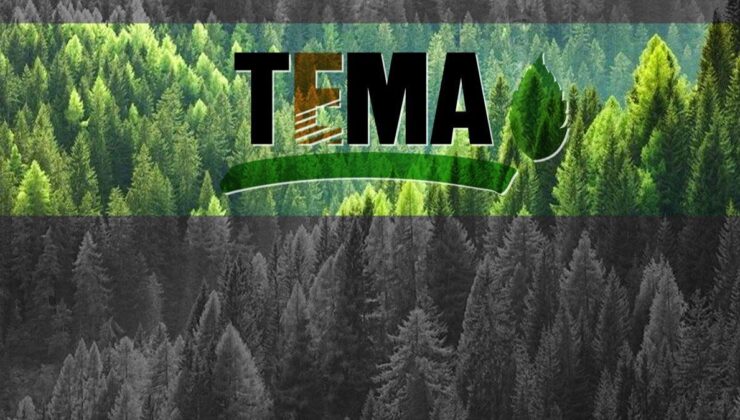 TEMA Vakfı, Cengiz Holding’in orman yangınları için yaptığı bağışı reddetti