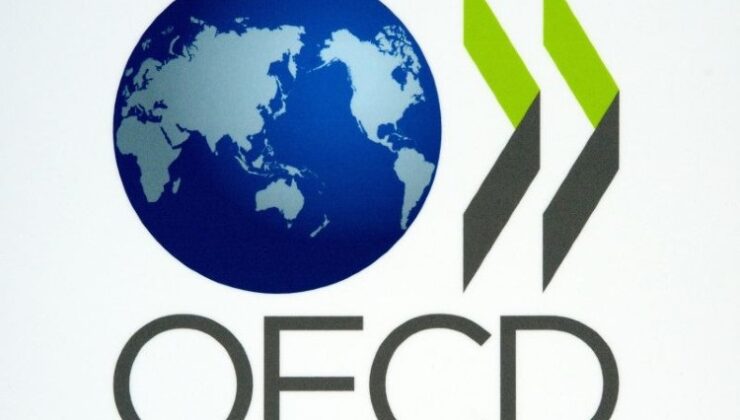 OECD Bölgesi’nde enflasyon değişmedi